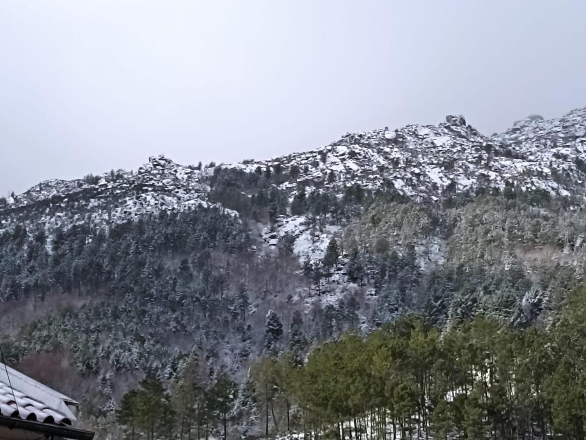 Casa Das Oliveiras - Manteigas Dış mekan fotoğraf