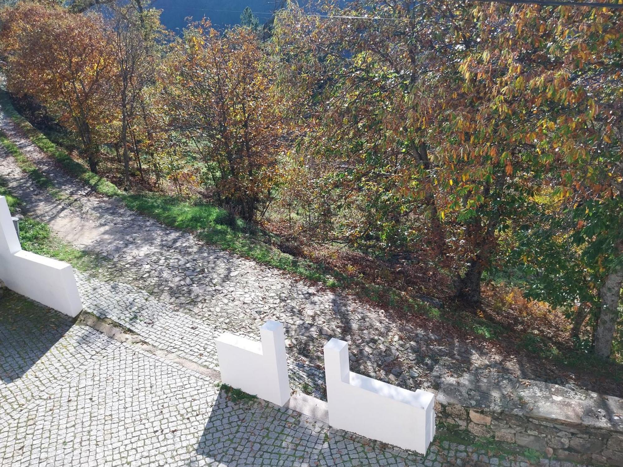 Casa Das Oliveiras - Manteigas Dış mekan fotoğraf
