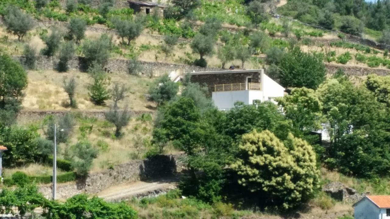 Casa Das Oliveiras - Manteigas Dış mekan fotoğraf